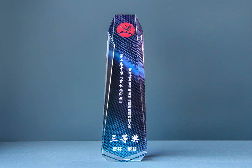 第二届中国“化纤杯”创新大赛三等奖